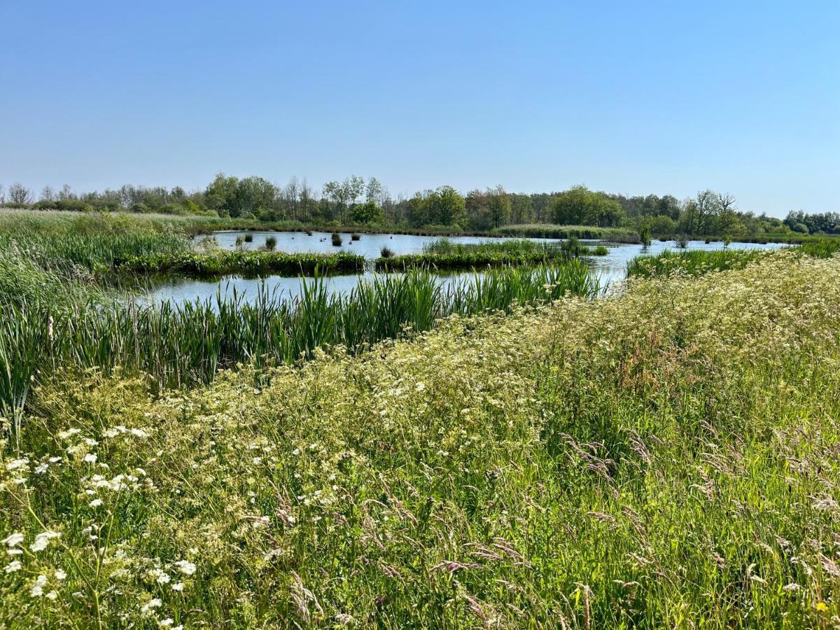 Landzicht Natuur Rust En Ruimte Oosterwolde  Ngoại thất bức ảnh