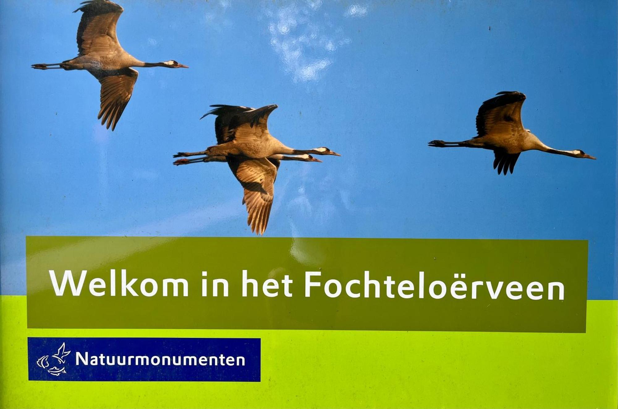 Landzicht Natuur Rust En Ruimte Oosterwolde  Ngoại thất bức ảnh